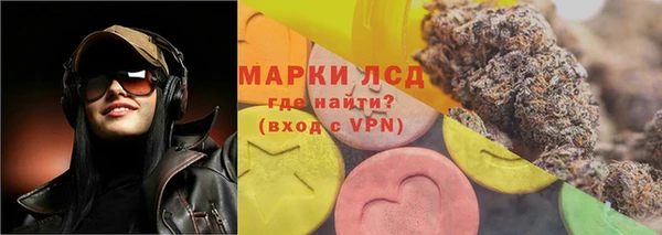 спиды Ростов