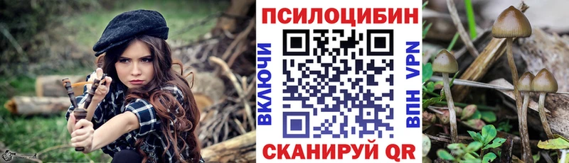 Галлюциногенные грибы Magic Shrooms  Заводоуковск 